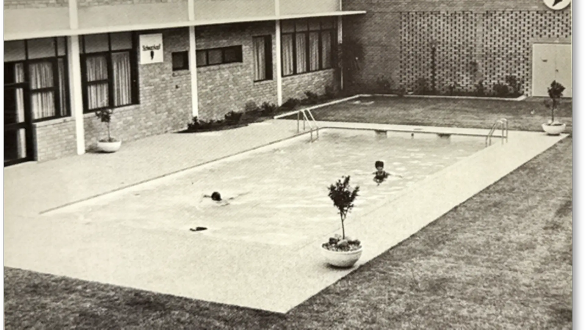 Schwarzkopf office pool